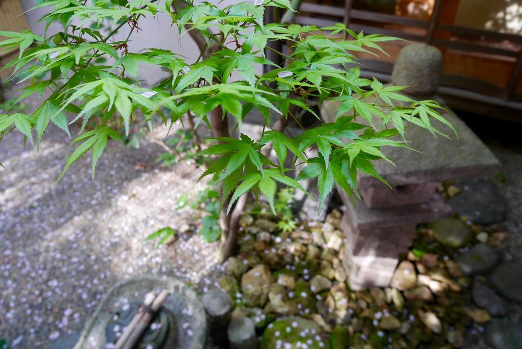 100 Years Old Traditional Kyoto Machiya Townhouse - K'S Villa Eksteriør bilde